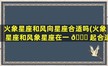 火象星座和风向星座合适吗(火象星座和风象星座在一 🍁 起合适吗)